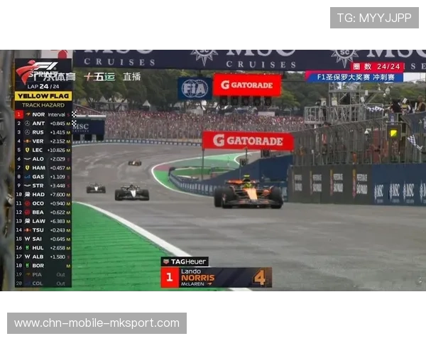 F1 四车连撞事故：红旗提前中断比赛